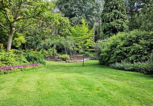 Optimiser l'expérience du jardin à Bonchamp-les-Laval